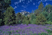 The Cross, mt Telac,